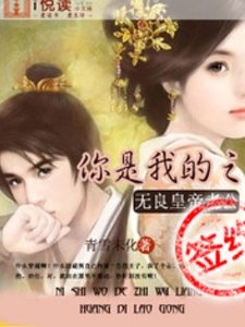 你是我的之无良皇帝老公