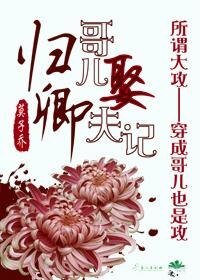 归卿.哥儿娶夫记/归卿
