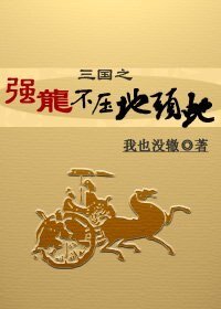 (三國同人)三國之強龍不壓地頭蛇