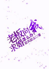 老板向我求婚,怎么办?