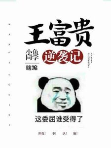 王富贵逆袭记