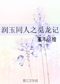 (润玉同人)润玉同人之觅龙记