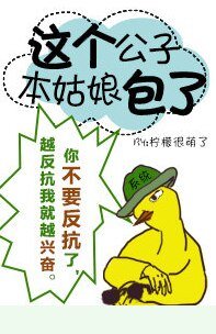 这个公子,本姑娘包了