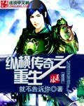 縱橫傳奇之重生