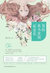 來不及說我愛你(精)