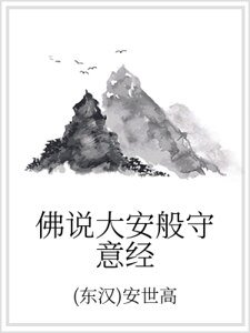 佛說大安般守意經