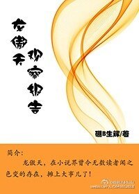 龙傲天观察报告