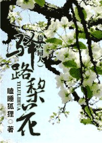 (倚天同人)驛路梨花