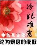 冷妃難寵:淪為暴君的夜奴