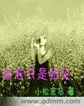 如若只是初見