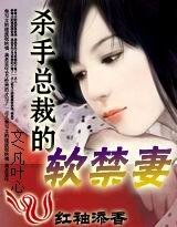 冷面CEO:偷走你的心(原名:杀手总裁的软禁妻)