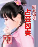 佔妾囚妻