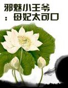 邪魅小王爺:母妃太可口