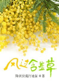 風過含羞草