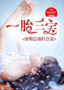 一胎三寶,蜜婚總裁輕點寵
