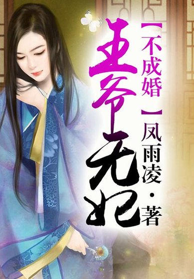 天降王妃.王爺太腹黑
