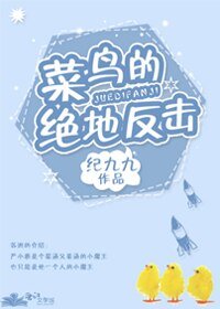 菜鸟的绝地反击