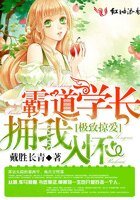 极致掠爱,霸道学长拥我入怀