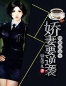 鐵骨英姿之嬌妻要逆襲