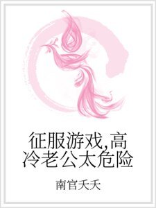 征服游戏,高冷老公太危险