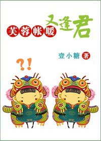 芙蓉帳暖又逢君