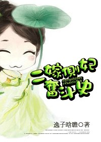 二嫁侧妃奋斗史