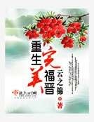 重生完美福晉