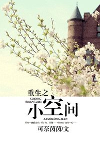 重生之小空間
