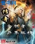 传奇全职者异界纵横