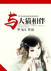 与大猫相伴