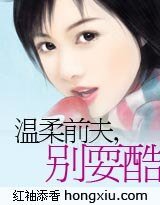 温柔前夫,别耍酷