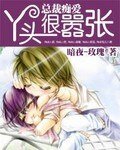 總裁痴愛:丫頭很囂張