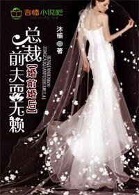 婚前婚後,總裁前夫耍無賴