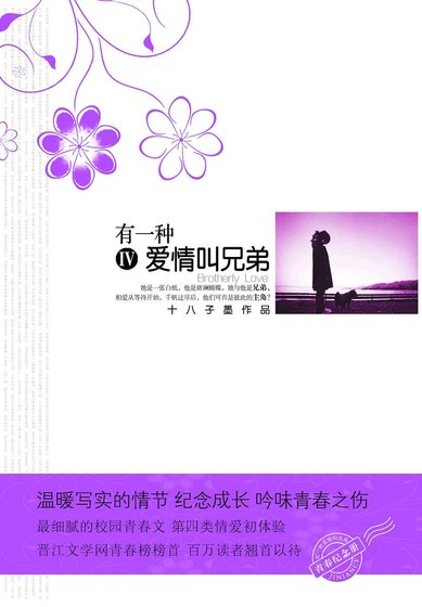 有一種愛情叫兄弟(出書版)