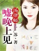 汤律师,嘘,晚上见