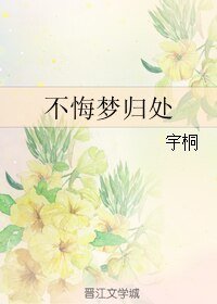 不悔梦归处