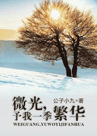 微光,予我一季繁华