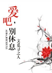 皑吧,别休息