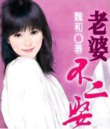 偷戀成婚:老婆不二娶
