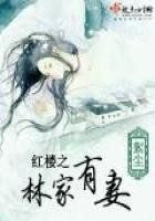 紅樓之林家有妻