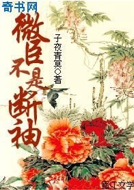 微臣不是断袖