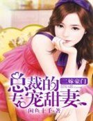 二嫁豪門:總裁的專寵甜妻