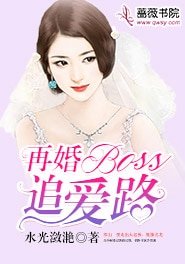 再婚BOSS追愛路