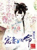 重生之寵妻如命(作者:安酥)