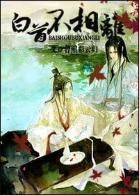 白首不相离