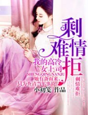 剩情難拒:我的高冷女上司