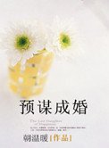 預謀成婚