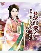 夢續紅樓之盜玉