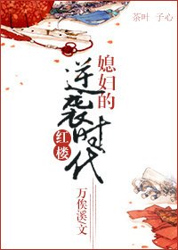(BG-红楼同人)红楼之媳妇的逆袭时代