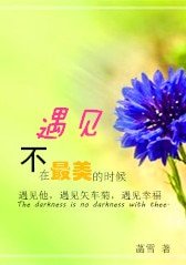 遇见,不在最美的时候